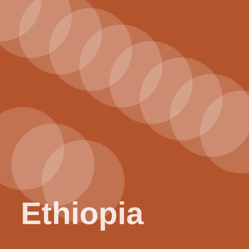 Ethiopia beans
