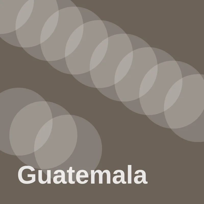 Guatemala beans
